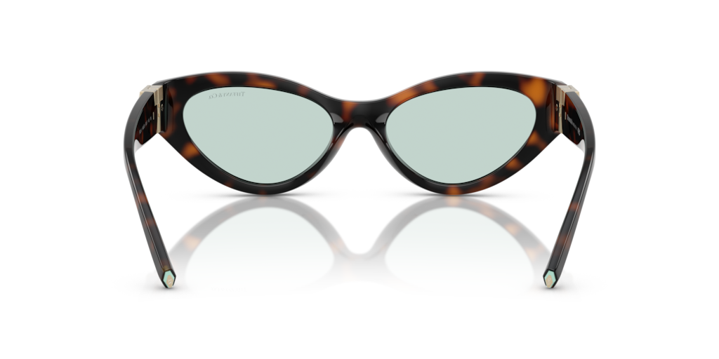 Tiffany TF4225U 8429D9 - 54 - Güneş Gözlükleri
