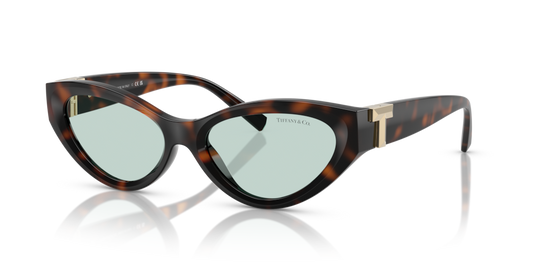Tiffany TF4225U 8429D9 - 54 - Güneş Gözlükleri