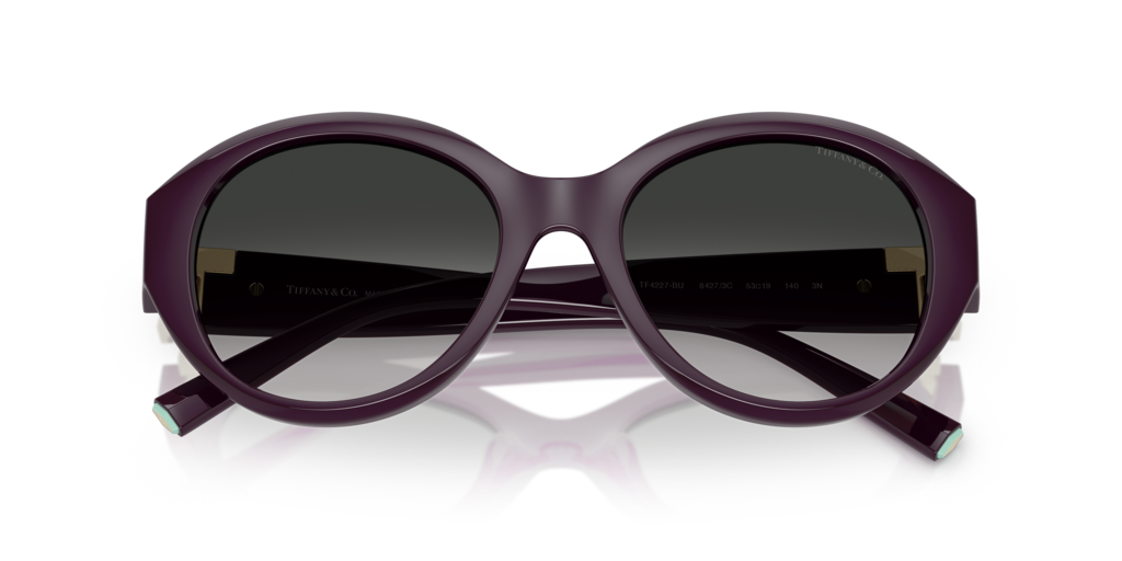 Tiffany TF4227BU 84273C - 53 - Güneş Gözlükleri