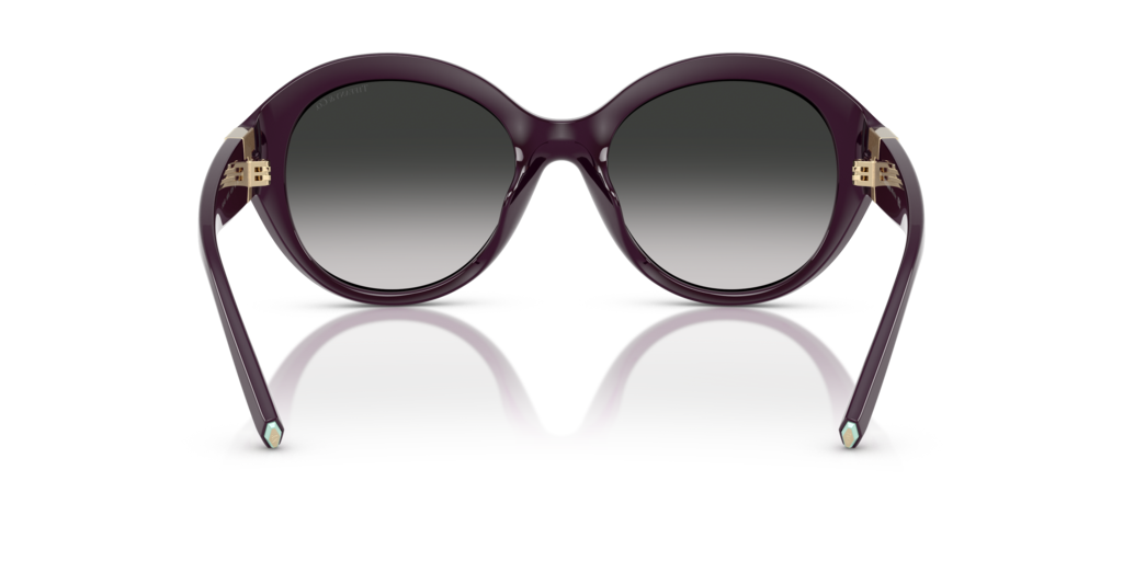 Tiffany TF4227BU 84273C - 53 - Güneş Gözlükleri