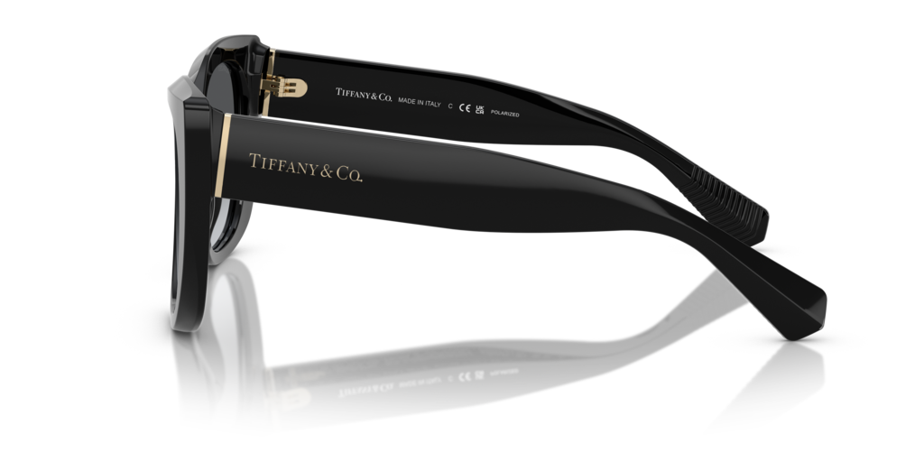 Tiffany TF4229 8001T3 - 55 - Güneş Gözlükleri