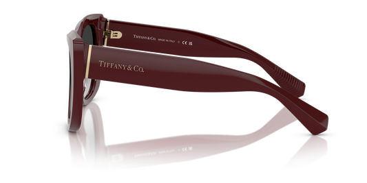 Tiffany TF4229 83893C - 55 - Güneş Gözlükleri