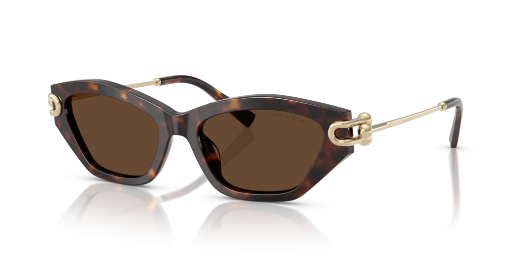 Tiffany TF4231U 80153G - 53 - Güneş Gözlükleri