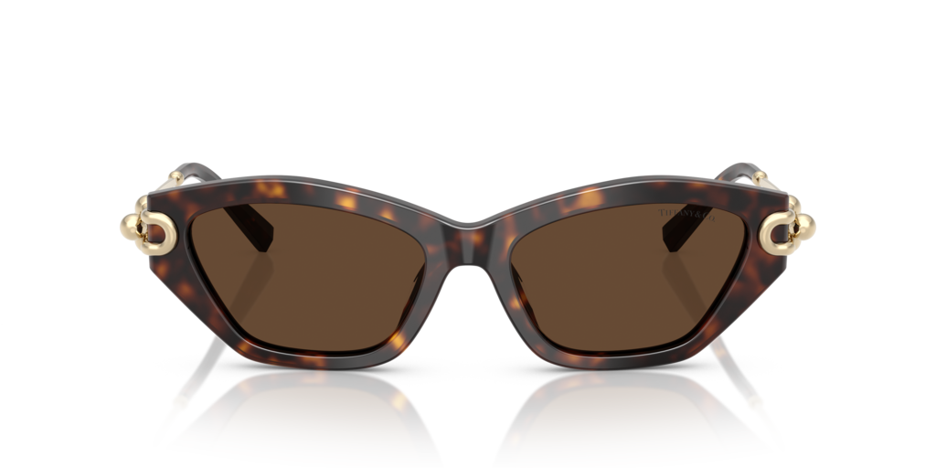 Tiffany TF4231U 80153G - 53 - Güneş Gözlükleri