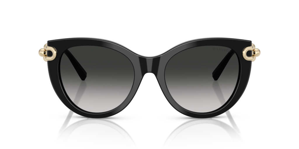 Tiffany TF4232 80013C - 53 - Güneş Gözlükleri
