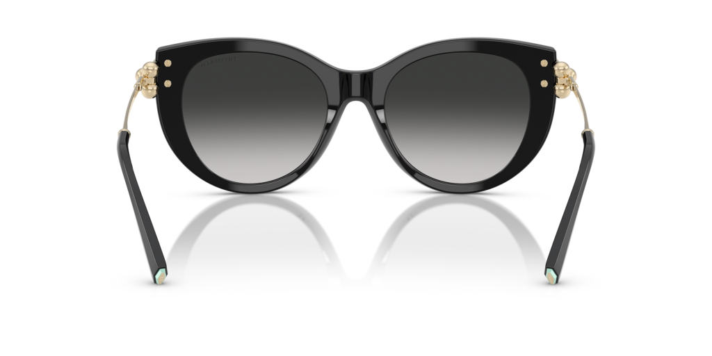 Tiffany TF4232 80013C - 53 - Güneş Gözlükleri