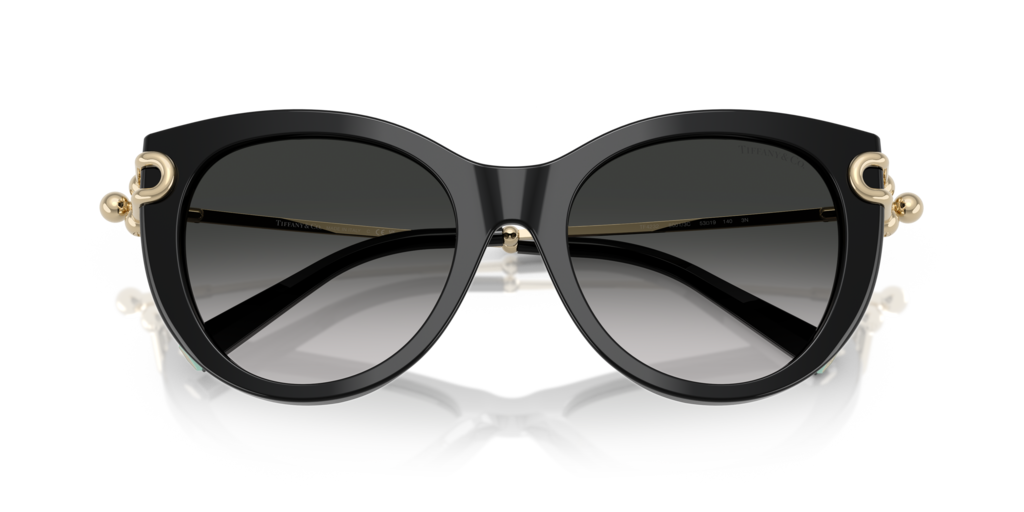 Tiffany TF4232 80013C - 53 - Güneş Gözlükleri