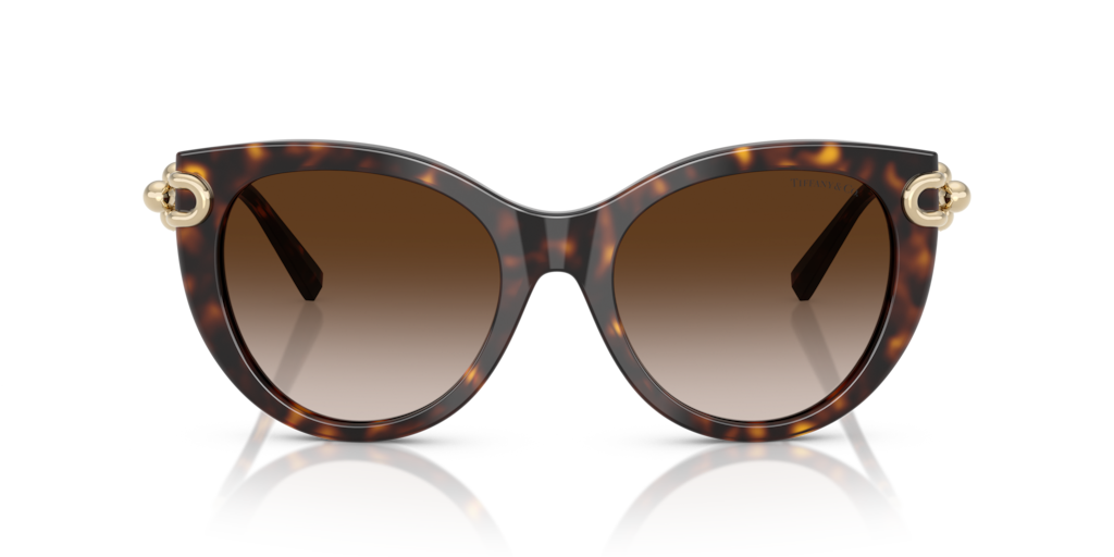 Tiffany TF4232 80153B - 53 - Güneş Gözlükleri
