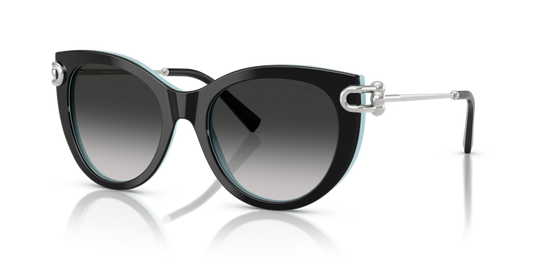 Tiffany TF4232 80553C - 53 - Güneş Gözlükleri