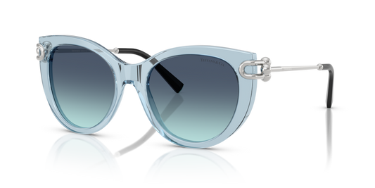 Tiffany TF4232 84389S - 53 - Güneş Gözlükleri
