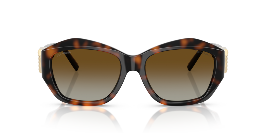 Tiffany TF4233U 8015T5 - 54 - Güneş Gözlükleri
