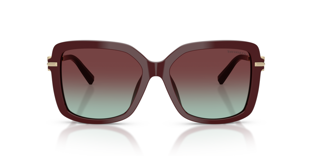 Tiffany TF4252B 8389V5 - 55 - Güneş Gözlükleri