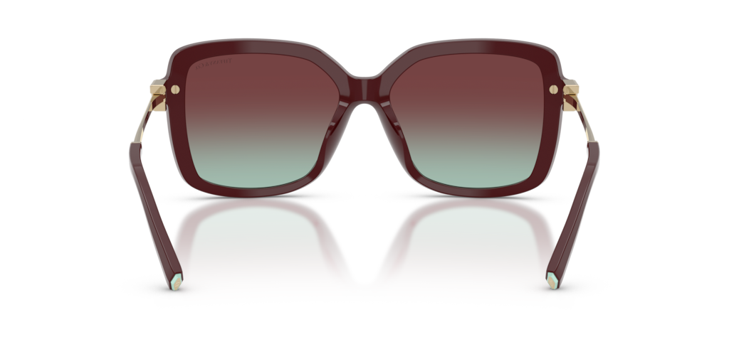 Tiffany TF4252B 8389V5 - 55 - Güneş Gözlükleri