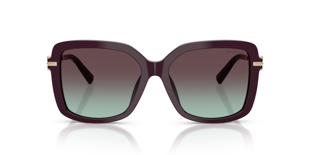 Tiffany TF4252B 8427V7 - 55 - Güneş Gözlükleri