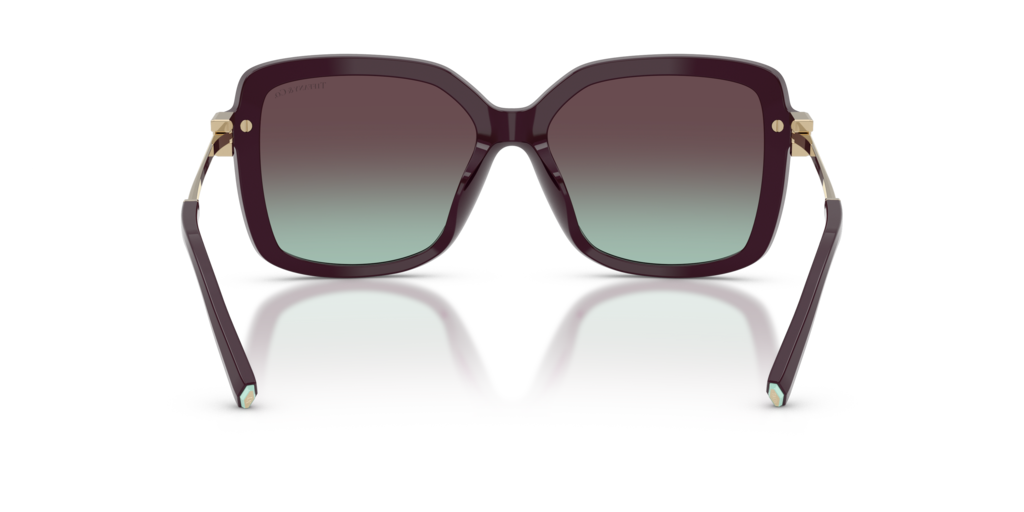 Tiffany TF4252B 8427V7 - 55 - Güneş Gözlükleri