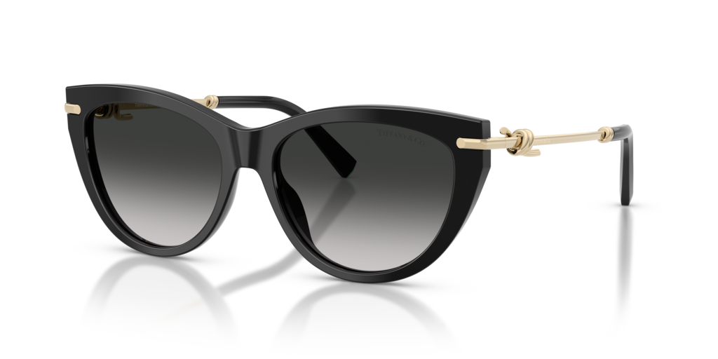 Tiffany TF4253 80013C - 55 - Güneş Gözlükleri