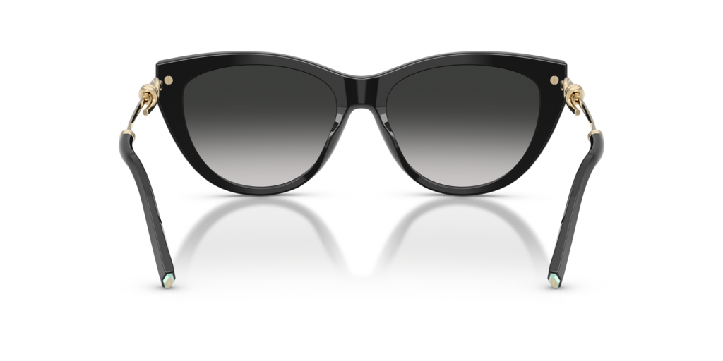 Tiffany TF4253 80013C - 55 - Güneş Gözlükleri