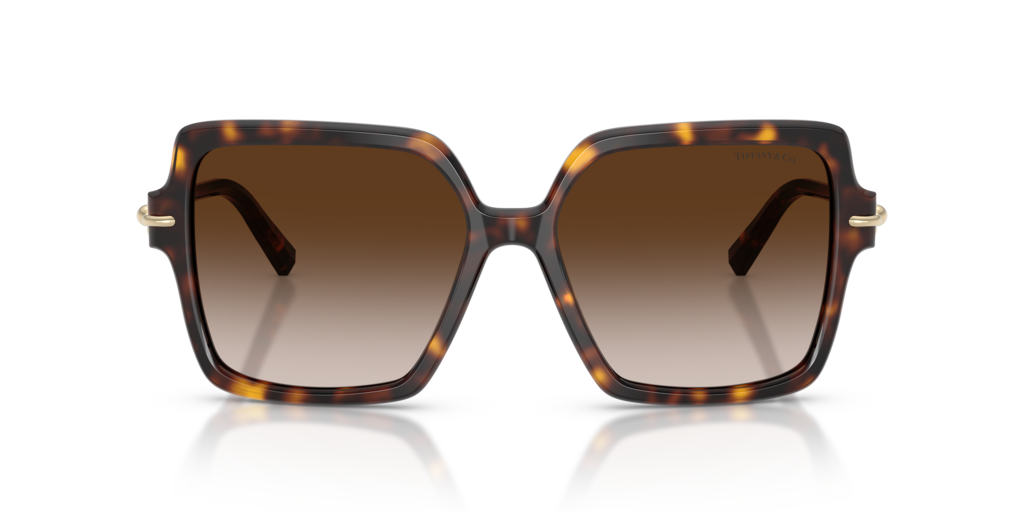 Tiffany TF4260U 80153B - 57 - Güneş Gözlükleri