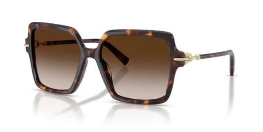 Tiffany TF4260U 80153B - 57 - Güneş Gözlükleri