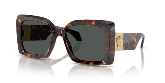 Versace VE4467U 108/87 - 54 - Güneş Gözlükleri