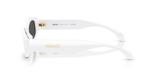 Versace VE4487 314/87 - 54 - Güneş Gözlükleri