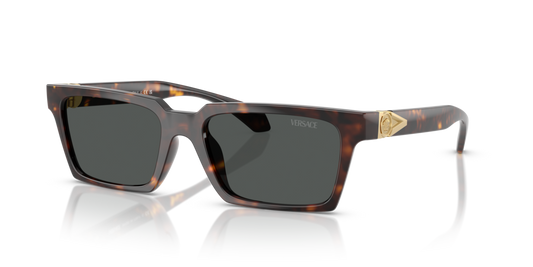 Versace VE4490U 108/87 - 55 - Güneş Gözlükleri