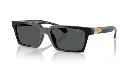 Versace VE4490U GB1/87 - 55 - Güneş Gözlükleri