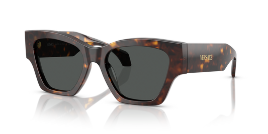 Versace VE4492U 108/87 - 53 - Güneş Gözlükleri