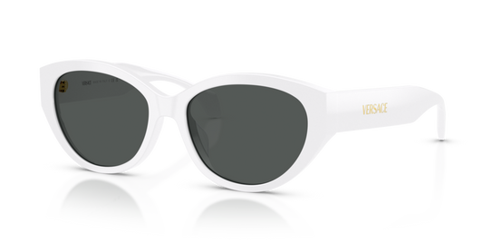 Versace VE4495D 314/87 - 56 - Güneş Gözlükleri