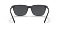 Arnette AN4291 - Güneş Gözlükleri