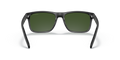 Arnette AN4298 - Güneş Gözlükleri
