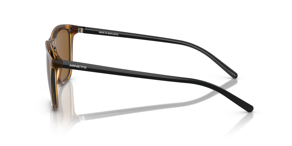 Arnette AN4301 - Güneş Gözlükleri