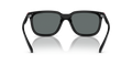 Arnette AN4306 - 275381 / 54 - Güneş Gözlükleri