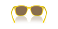 Arnette AN4316 - Güneş Gözlükleri