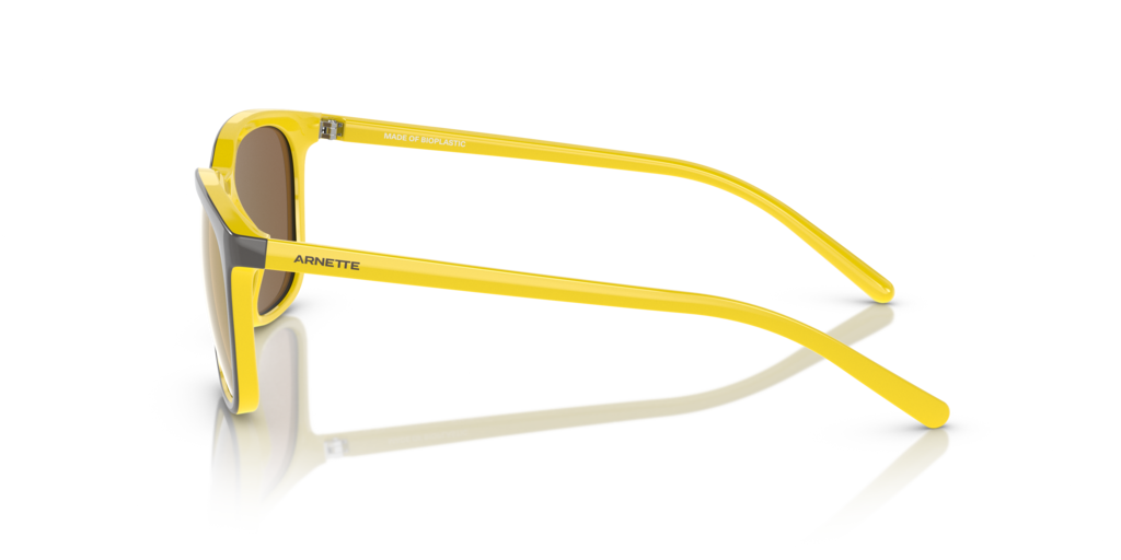 Arnette AN4316 - Güneş Gözlükleri