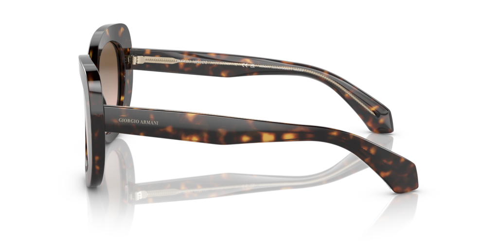 Giorgio Armani AR8168 - Güneş Gözlükleri
