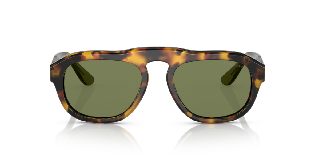 Giorgio Armani AR8173 - Güneş Gözlükleri