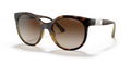 Armani Exchange AX4120S - 821313 / 54 - Güneş Gözlükleri