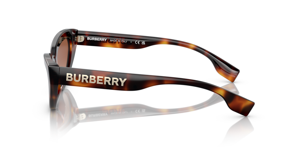 Burberry BE4373U - Güneş Gözlükleri