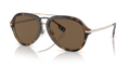 300273