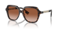 300213