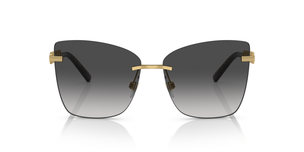 Dolce & Gabbana DG2289 - Güneş Gözlükleri