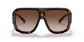 Dolce & Gabbana DG4401 - Güneş Gözlükleri