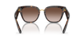 Dolce & Gabbana DG4437 - Güneş Gözlükleri