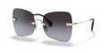 ZVN5D1
