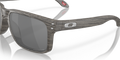 Oakley OO9102 - Güneş Gözlükleri