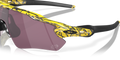 Oakley OO9208 - Güneş Gözlükleri