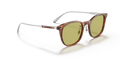 Oliver Peoples OV5482S - Güneş Gözlükleri