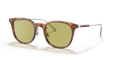 Oliver Peoples OV5482S - 14084C / 51 - Güneş Gözlükleri