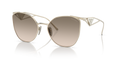 ZVN3D0
